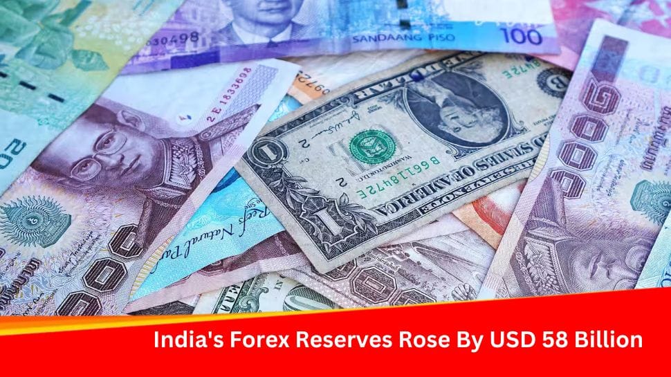 India's Forex Reserves Rose By USD 58 Billion Cumulatively In 2023 | Economy News